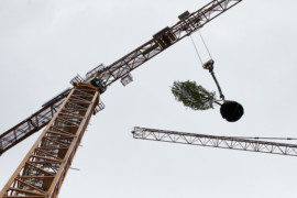 Här flyttas de första träden i Stefano Boeri Architettis nya projekt Wonderwood Vertical Forest