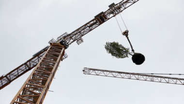 Här flyttas de första träden i Stefano Boeri Architettis nya projekt Wonderwood Vertical Forest
