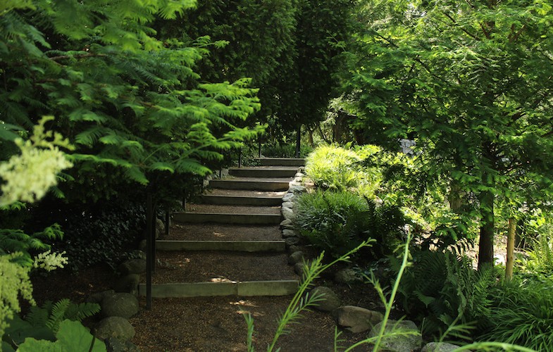 Ny bok visar landskapsarkitektur som nyckel i klimatarbetet