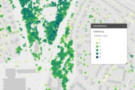 Ny nationell kartläggning av träd i städer och tätorter