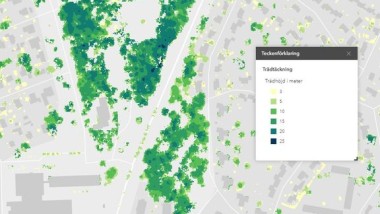 Ny nationell kartläggning av träd i städer och tätorter