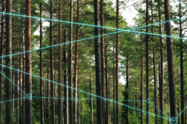 Skogsbranschen tar stora steg mot hållbar utveckling genom digitalisering