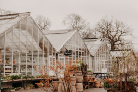 Rosendals Trädgård gör jättesatsning på sitt hantverk – nya byggnader för alla årstider och nytt ledarskap i köket