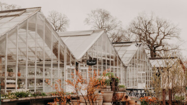 Rosendals Trädgård gör jättesatsning på sitt hantverk – nya byggnader för alla årstider och nytt ledarskap i köket