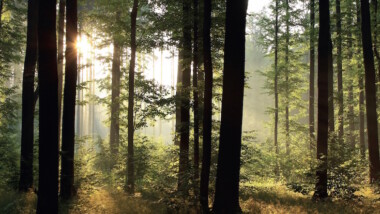 Cirkulära och slitstarka fasader inspirerade av nordisk natur