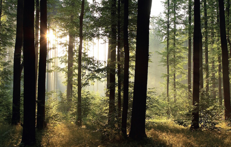 Cirkulära och slitstarka fasader inspirerade av nordisk natur