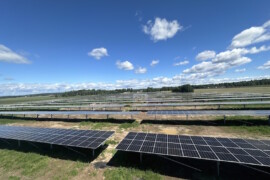 Sveriges största agrivoltaiska solpark – kombinerar jordbruk med solenergiproduktion för inomhusodling