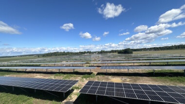 Sveriges största agrivoltaiska solpark – kombinerar jordbruk med solenergiproduktion för inomhusodling