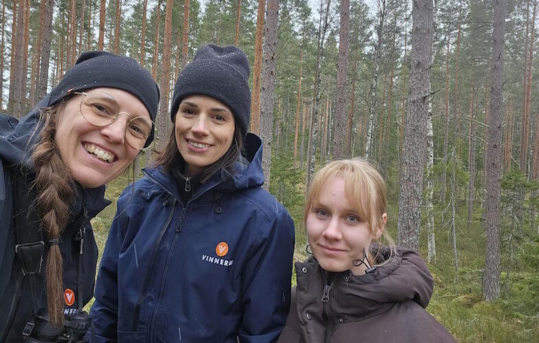 Storskalig solcellspark och biologisk mångfald – Så kan framtidens energi utvecklas