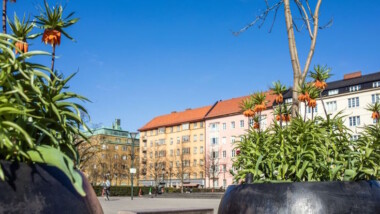 Europeiska masterstudenter ska undersöka Malmö: “intressant med internationell blick”