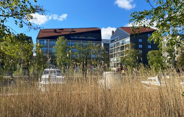 Från pilot till förebild: Stockholmshems plusenergihus håller toppnivå