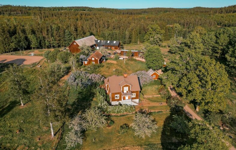 Dränering och fuktskydd för långsiktigt fastighetsunderhåll