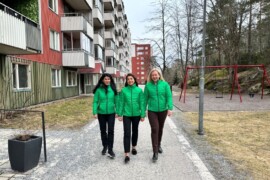 Storsatsar på renoveringar