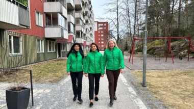 Storsatsar på renoveringar