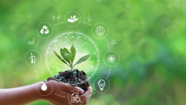 Byggbranschen pressas av skärpta krav: LCA blir framtidens konkurrensparameter