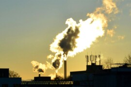 Många storutsläppare avstår statliga miljardsatsningar för omställning