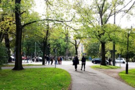 Nytt verktyg visar hur grönska och bebyggelse påverkar luften i staden