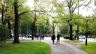 Nytt verktyg visar hur grönska och bebyggelse påverkar luften i staden