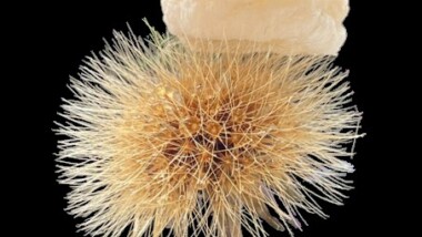 Nästa generations ultratunna isolering med lågt klimatavtryck och biologiskt nedbrytbart