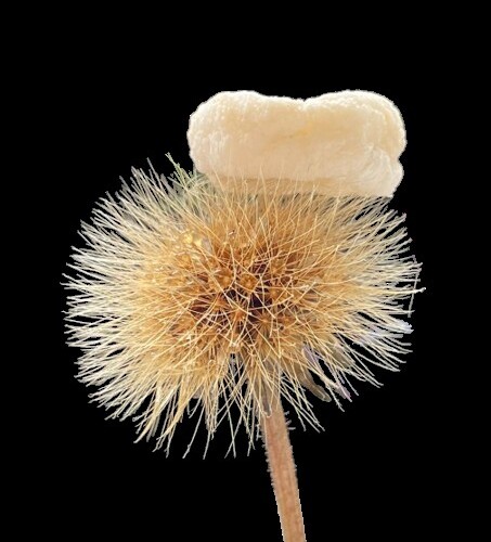 Nästa generations ultratunna isolering med lågt klimatavtryck och biologiskt nedbrytbart