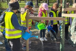 Skolfastigheter planterar fler träd – ska ge svalare utemiljöer i Uppsala