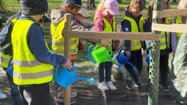 Skolfastigheter planterar fler träd – ska ge svalare utemiljöer i Uppsala