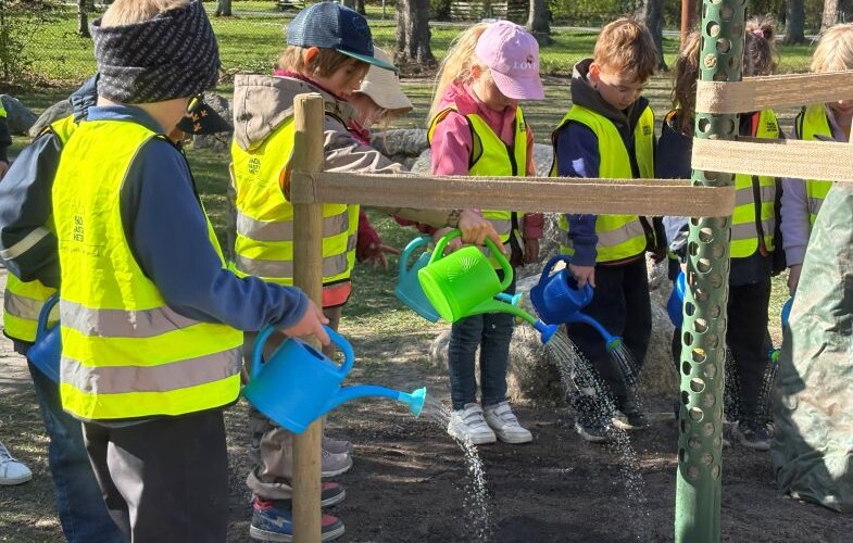 Skolfastigheter planterar fler träd – ska ge svalare utemiljöer i Uppsala