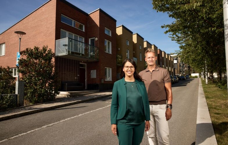 Utvecklingen av Nya Ulriksdal kan åter ta fart
