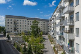 Naturbaserade lösningar för ett tuffare klimat