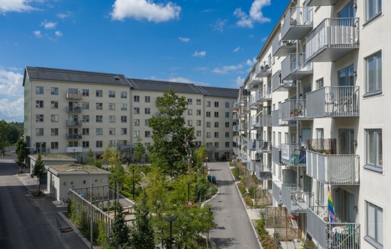 Naturbaserade lösningar för ett tuffare klimat