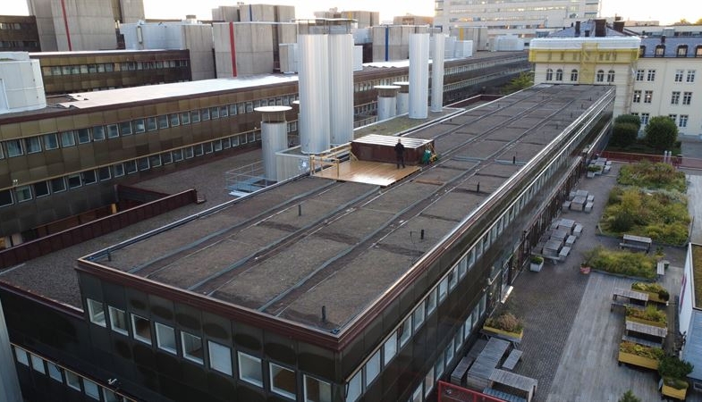 Levererar torvfritt till innovativ takodling i Stockholm