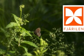 Byggkeramikrådet lanserar Fjärilen – för att göra mer hållbara produktval enklare