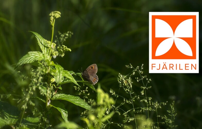 Byggkeramikrådet lanserar Fjärilen – för att göra mer hållbara produktval enklare